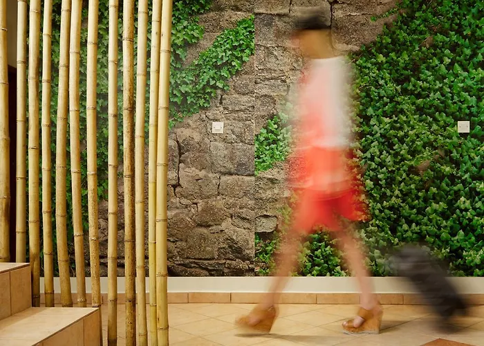 Menel The Tree House- Adults Only 2*